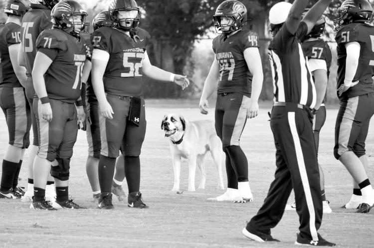 Wait Just a Doggone Minute! A friendly canine wandered onto the field at last week’s Konawa vs. SW Covenant, momentarily disrupting play as players and officials figured out how to shoo it away. Unfortunately, Konawa fell 0-7 but looks to rebound when t