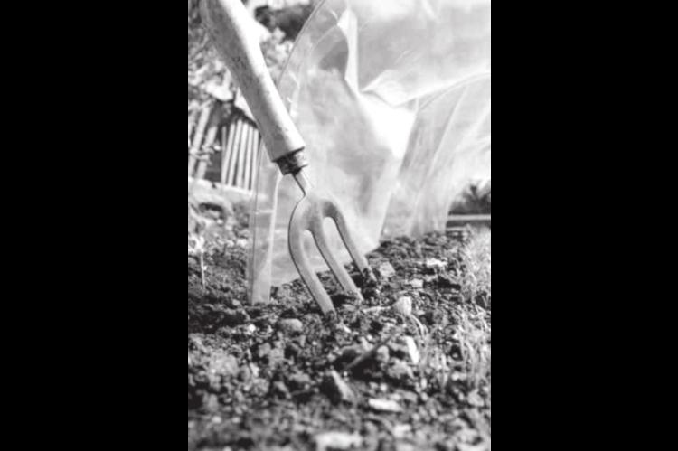 Cold Frames, Greenhouses, and Beyond: Four-Season Gardening