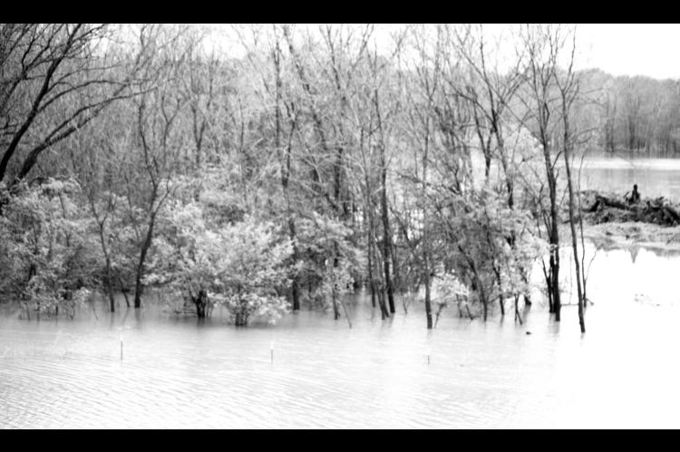 Flood Stage