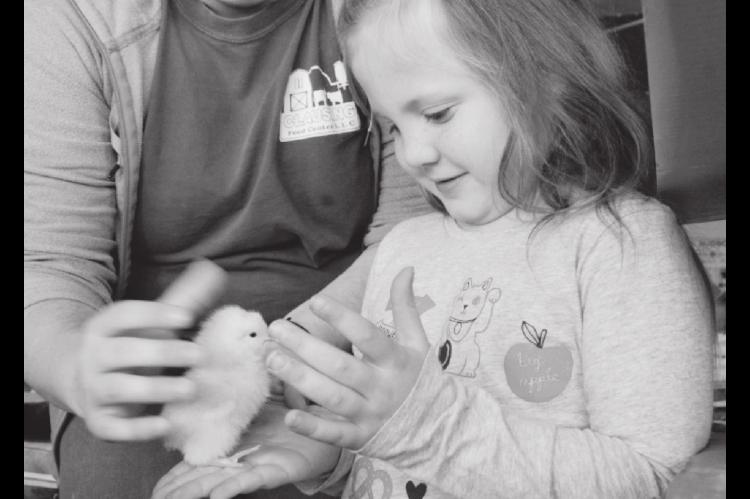 Baby Chicks Are Here…