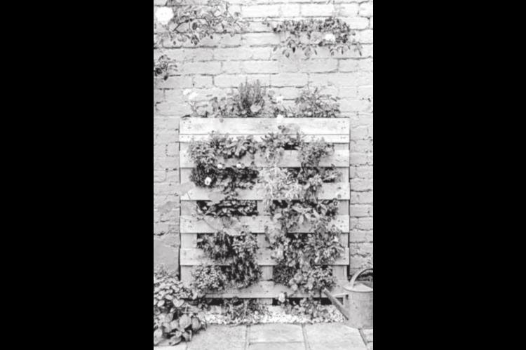 How to Build a Vertical Pallet Garden for Vegetables and Herbs