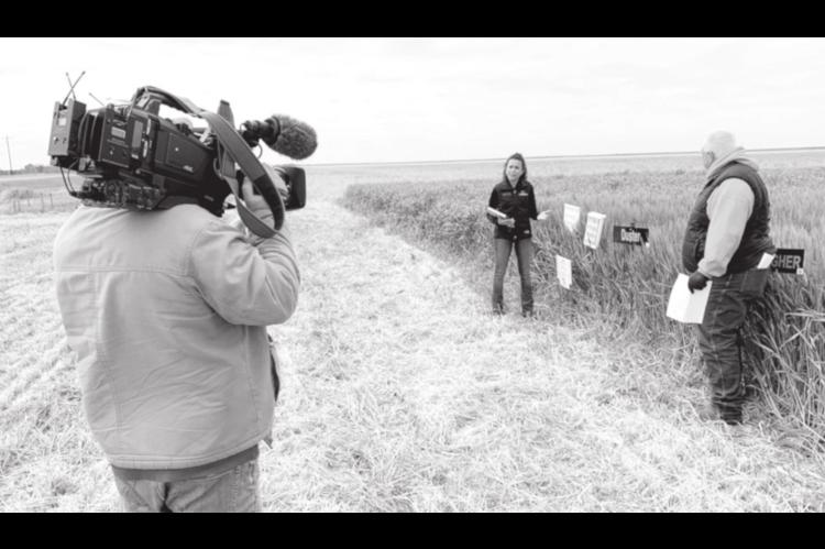 SUNUP To Feature Sneak Peek Of OSU Virtual Wheat Tour