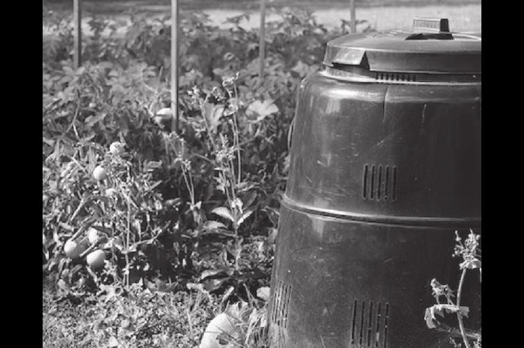 Gardening with Children