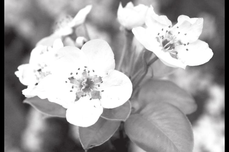 Spring Has Sprung