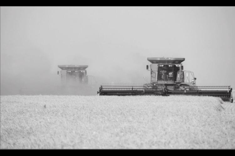 Wheat Harvest Adapts To COVID-19 Precautions