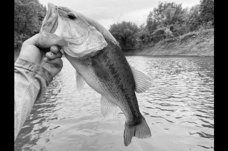 Latest Fishing Report for December 29, 2024