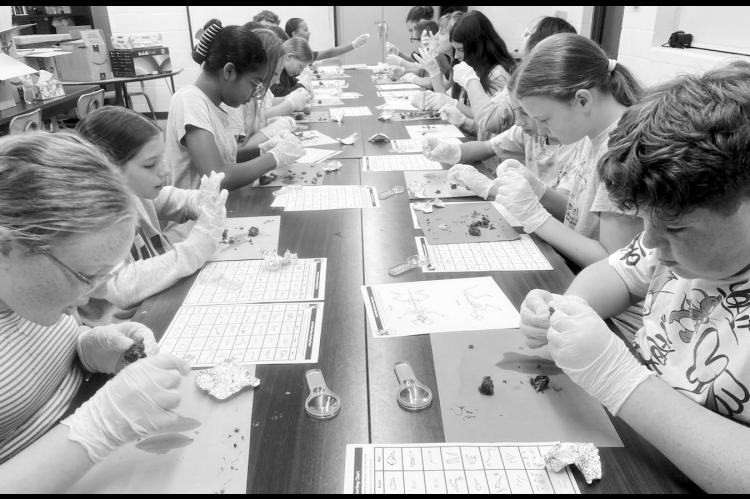 Jessica Carr’s 6th grade science class at New Lima Public Schools recently had the opportunity to dissect owl pellets. Once dissected, they were able to record their findings on a bone sorting chart. Owl pellets are the undigested parts of an owl’s fo