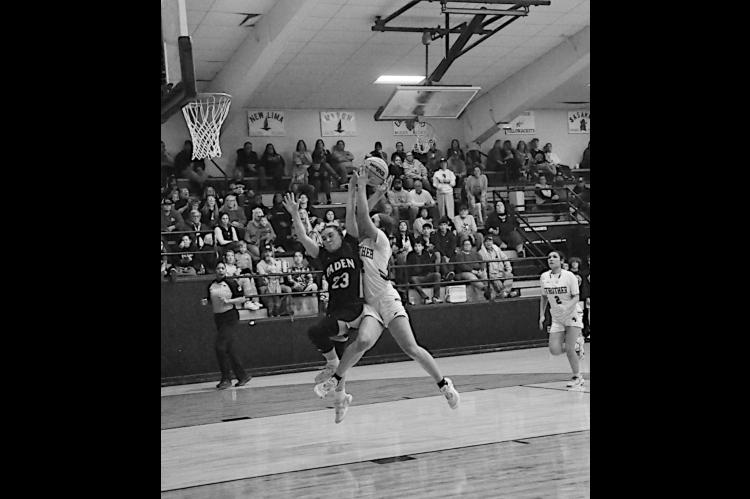 Strother Lady Yellowjacket Hayden Appleton flies in for the shot while being blocked by Paden defender. Staff Photo by Bill Anderson