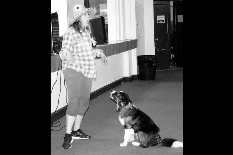 Bow-wowing the Crowd