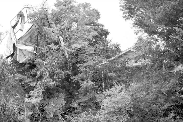 What appears to be a trampoline landed in the treetops along Highway 99 just east of Walmart after strong storms pelted the Seminole area Monday and Tuesday. Monday morning’s storm, classified as a Derecho, brought with it 80 mph sustained winds. Tuesday afternoon saw another round of high winds and rain, although the winds were not quite as strong as Monday’s event.