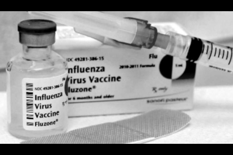 Amid Pandemic, Flu All but Disappears in US