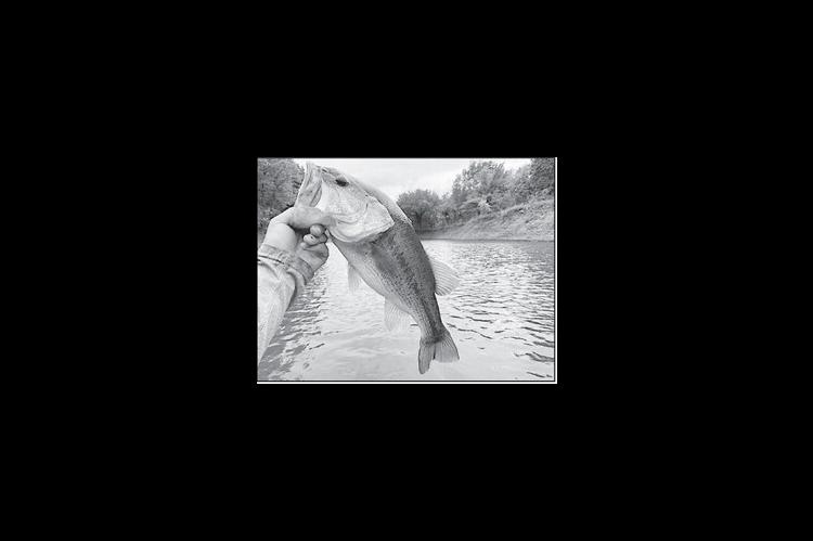 Latest Oklahoma Fishing Report for December 31, 2025