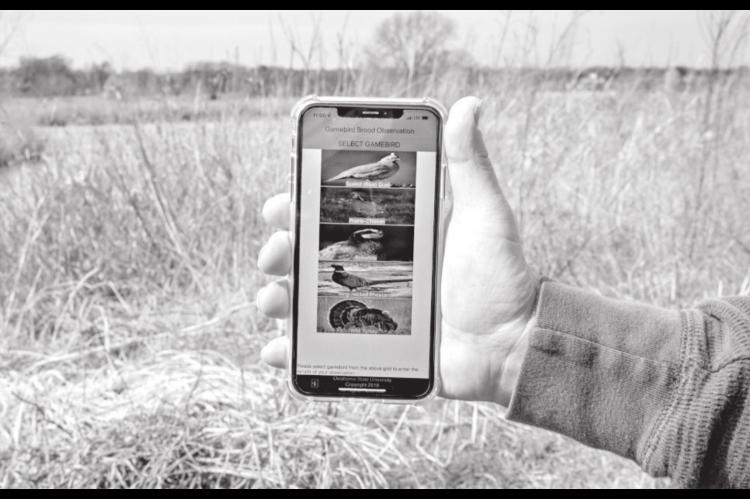 Wildlife Biologists Gain Valuable Information from Smartphone App