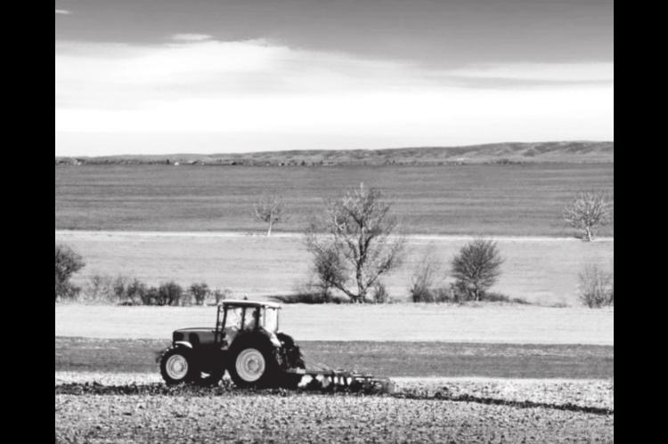 USDA Awards Over $11.5 Million to Help Small and Mid-Sized Farms on National Ag Day