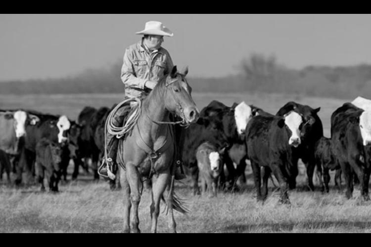 Cyberattack Leaves Oklahoma Beef Producers on Edge