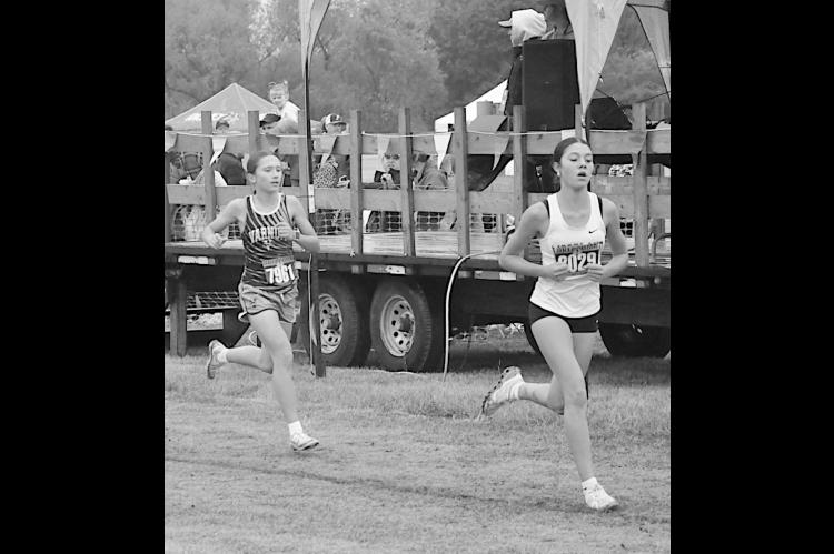 Varnum Lady Whippet Karsyn Lowery competed in the 3200m run Saturday and placed 11th at State. Staff Photo by Bill Anderson