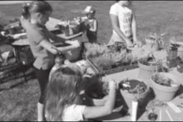 Six Steps To Creating Fairy Gardens For Kids