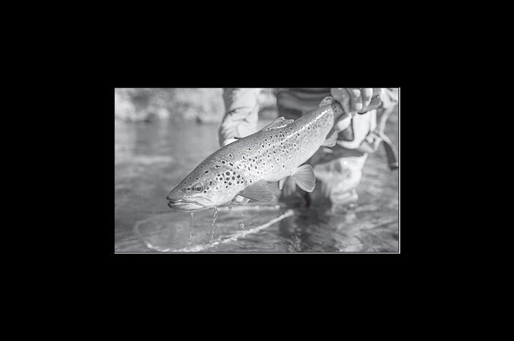 Latest Oklahoma Fishing Report for December 17, 2025