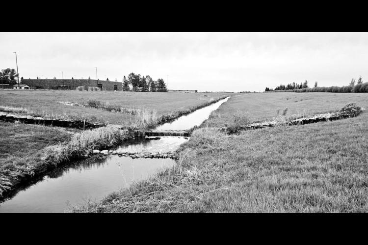 Use creek bank erosion control methods with water-loving vegetation, and brace the bank with organic refuse to keep the bank intact and build back sediment. (Photo by Jeffrey Miller)