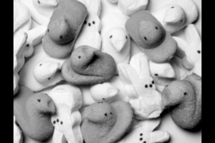 The Unauthorized Story of Easter Peeps