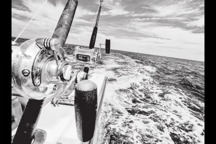 Catch And Release For Beginning Anglers