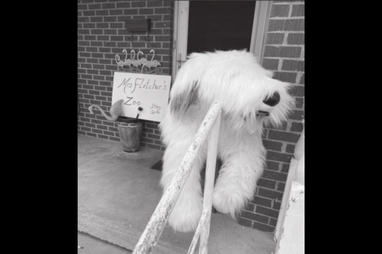 Mrs. Fletcher’s Zoo…