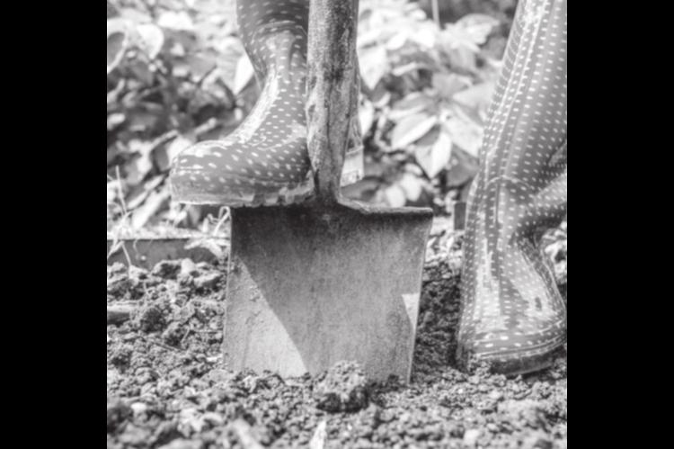 Preparing Garden Beds for Spring and Beyond