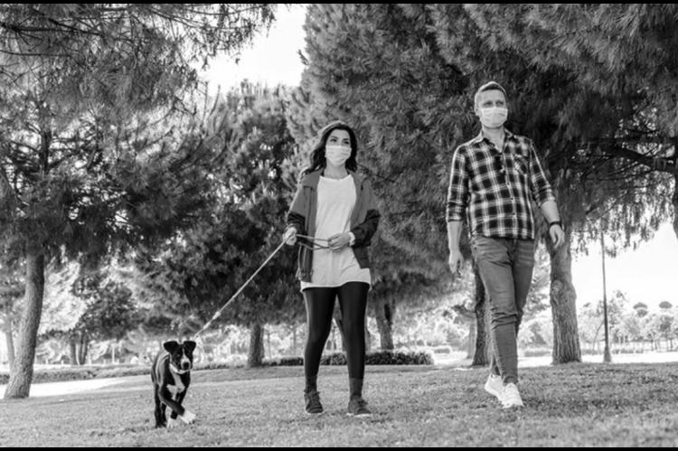 Natural Tick Repellents to Protect Pooches