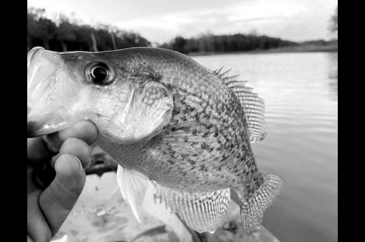 Latest Oklahoma Fishing Report for October 29, 2025