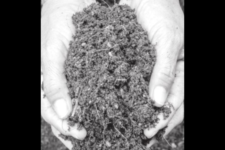 How Urban Gardeners Can Lower the Risk of Contact with Soil Contaminants