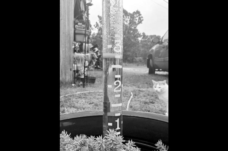 This rain gauge, located north of St. Crispin’s, had nearly three inches of rain in it by 8 a.m. Thursday. Seminole County has been in a drought, and Wednesday and Thursday marked the first significant rain event since July. —Staff photo by Bill Anderson