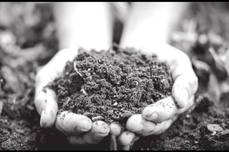 Festival to Highlight Benefits of Composting