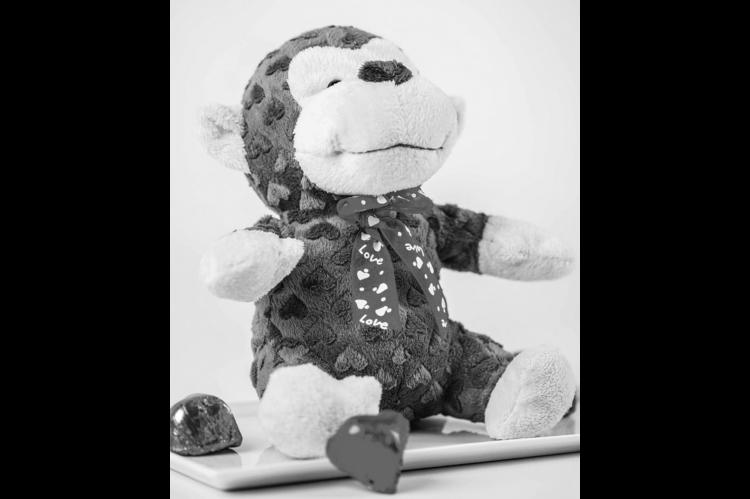 Valentine’s Day Gift Ideas for Animal Lovers