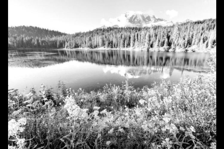 USDA Announces $218 Million Investment in Land and Water Conservation