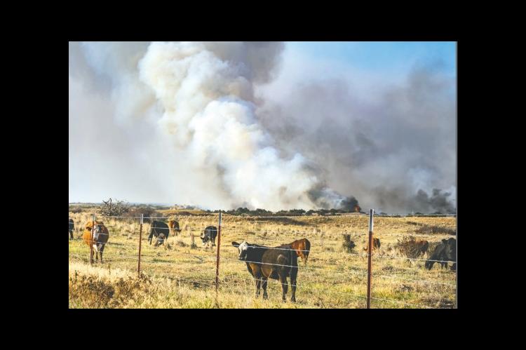 Brush up on Wildfire Plans During The Winds of March