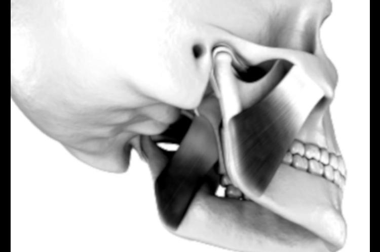 3D Implants in 3 Minutes: OU Engineering Student Recognized for Thesis Video Presentation