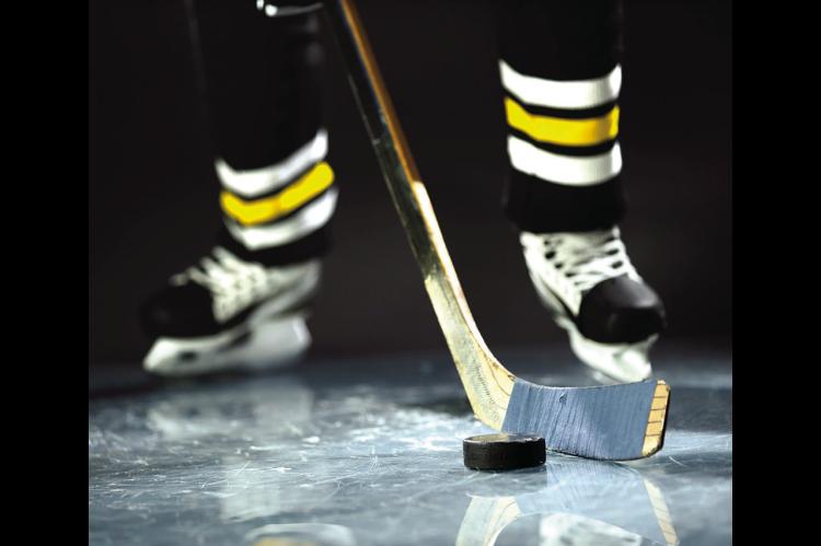Facts to Enjoy During Hockey Season