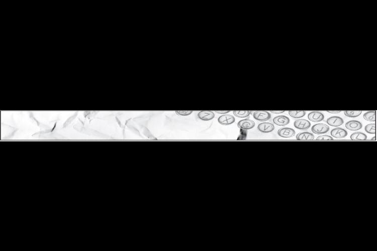 Alt Text for Image
