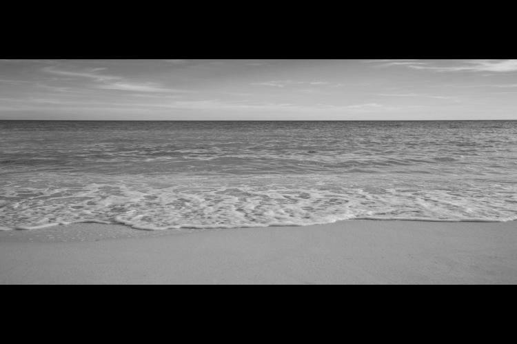 What You Can Learn from an Ocean Going into World Oceans Day