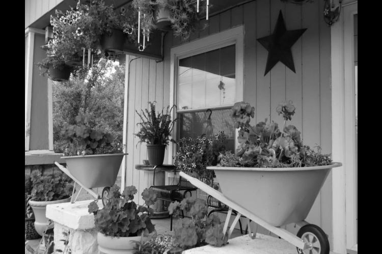 House of Flowers