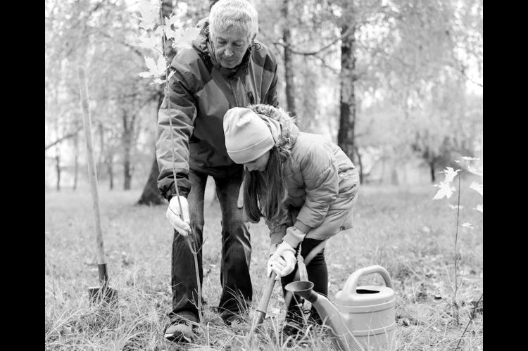Image: www.arborday.org