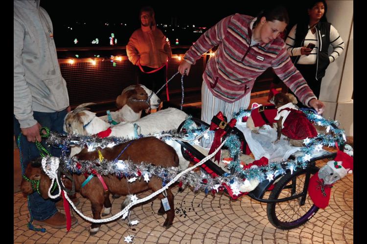You’ve heard of reindeer pulling a sleigh, but how about goats? The unusual pairing pictured above won first place in Tuesday’s pet costume contest at Snowman Wonderland. Left, “Hootie” the shade-wearing canine came in second place. (Photos courte