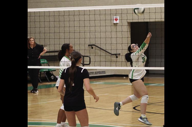 Seminole Lady Chieftain Lyndsey Phillips gets the save Monday night against Perkins. Courtesy Photo by Jacqueline Sinor