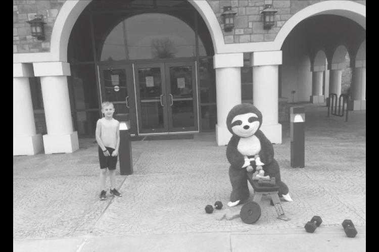 Sloth Spotted…