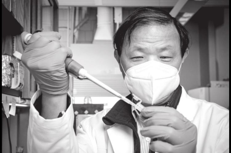 OSU Scientists Make Wheat Gene Discovery