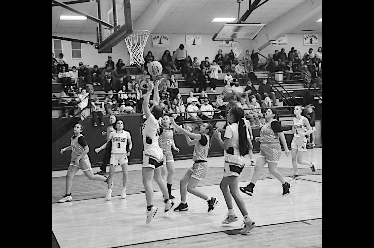 Strother Lady Yellowjacket Olivia Spears goes up for the layup Monday night against New Lima. Staff Photo by Bill Anderson