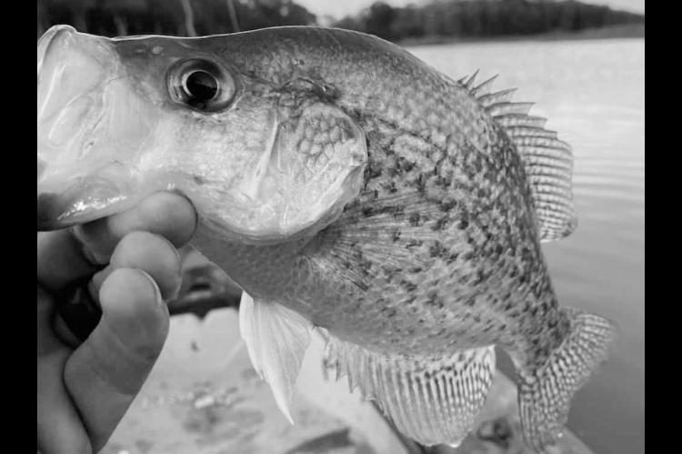 Latest Fishing Report for December 18, 2024