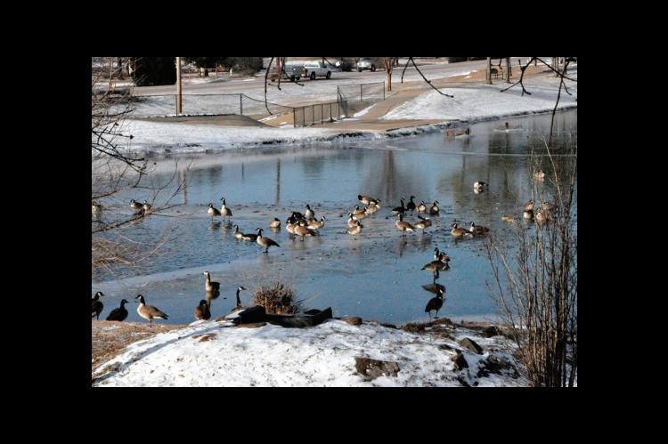 Old Man Winter Lessens Grip on Seminole County