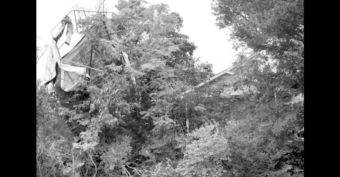What appears to be a trampoline landed in the treetops along Highway 99 just east of Walmart after strong storms pelted the Seminole area Monday and Tuesday. Monday morning’s storm, classified as a Derecho, brought with it 80 mph sustained winds. Tuesday afternoon saw another round of high winds and rain, although the winds were not quite as strong as Monday’s event.