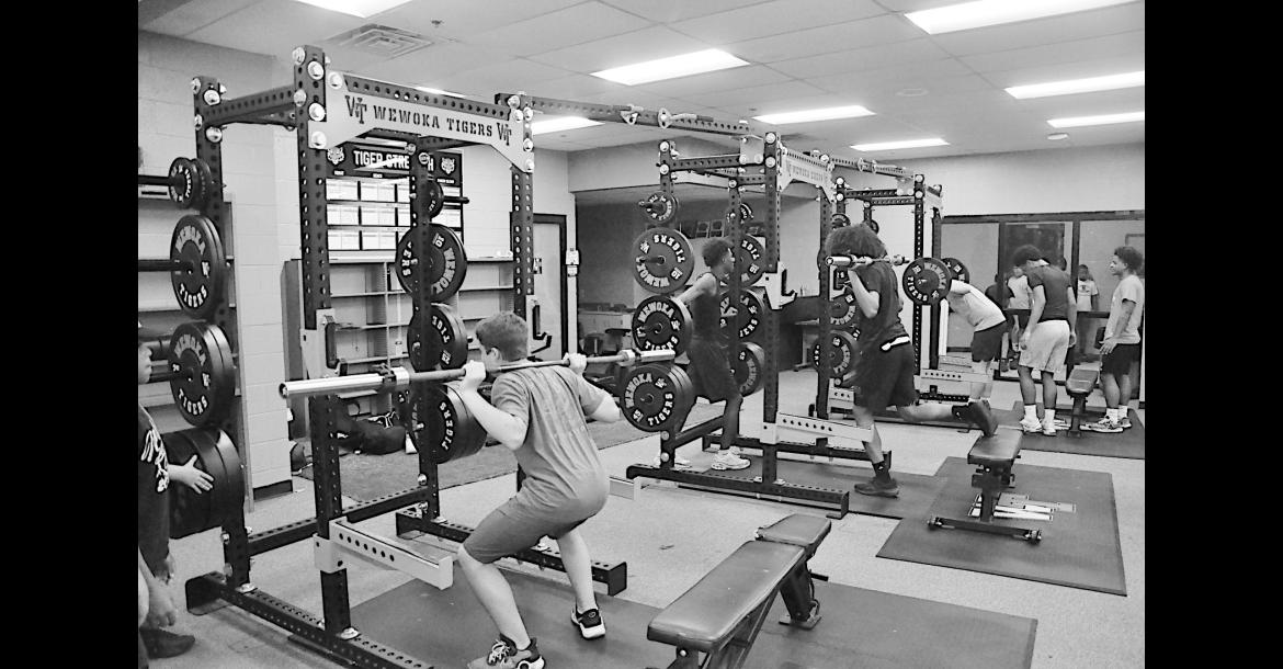 Wewoka Tiger Summer Pride